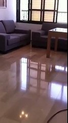 חברת פוליש תפארת 1-700-700-839