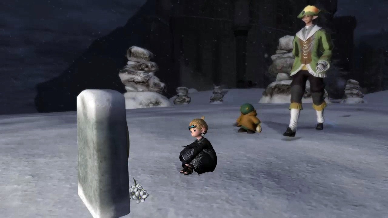 15.08.2011 totes tag (11)