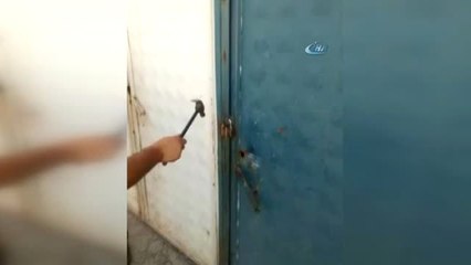 Van'da 91 Bin 500 Paket Kaçak Sigara Ele Geçirildi