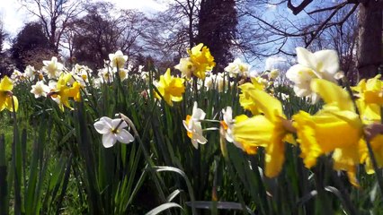 Panasonic GH5 test - 4K slow motion - Hever Castle, Kent, England