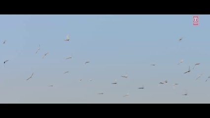 Bhoomi Official Trailer Sanjay Dutt,Adit,Rao Hydari Releasing 22  September