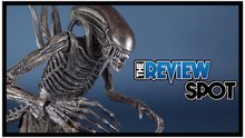 Toy Spot | NECA Alien Covenant Xenomorph Figure