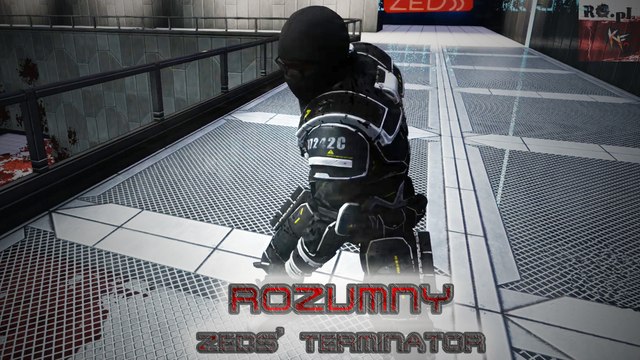 ROZUMNY - The ZEDS' TERMINATOR