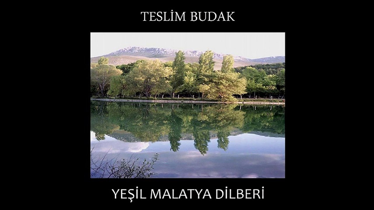 Teslim Budak - Yeşil Malatya Dilberi (Full Albüm)