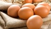 Güney Kore, Yumurta Üretimini Yasakladı