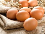 Güney Kore, Yumurta Üretimini Yasakladı