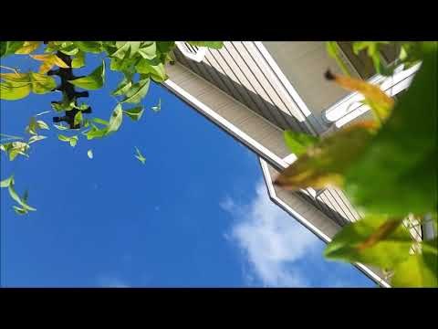 Smartphone Defies all Odds and Survives 1,000ft Fall