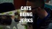 Cats are Amazing at Being Jerks