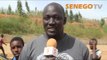 Senego TV : Les Sénégalais  soudés derrière  les Lions face à Madagascar