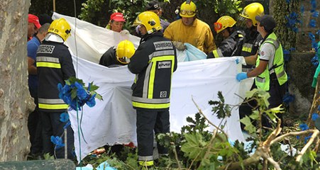 Portekiz'in Madeira Adası'nda Festival Alanına Ağaç Devrildi: 11 Ölü