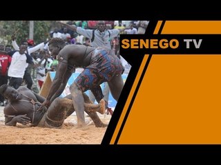 Senego TV Mama Lamine vs Zale Bambey