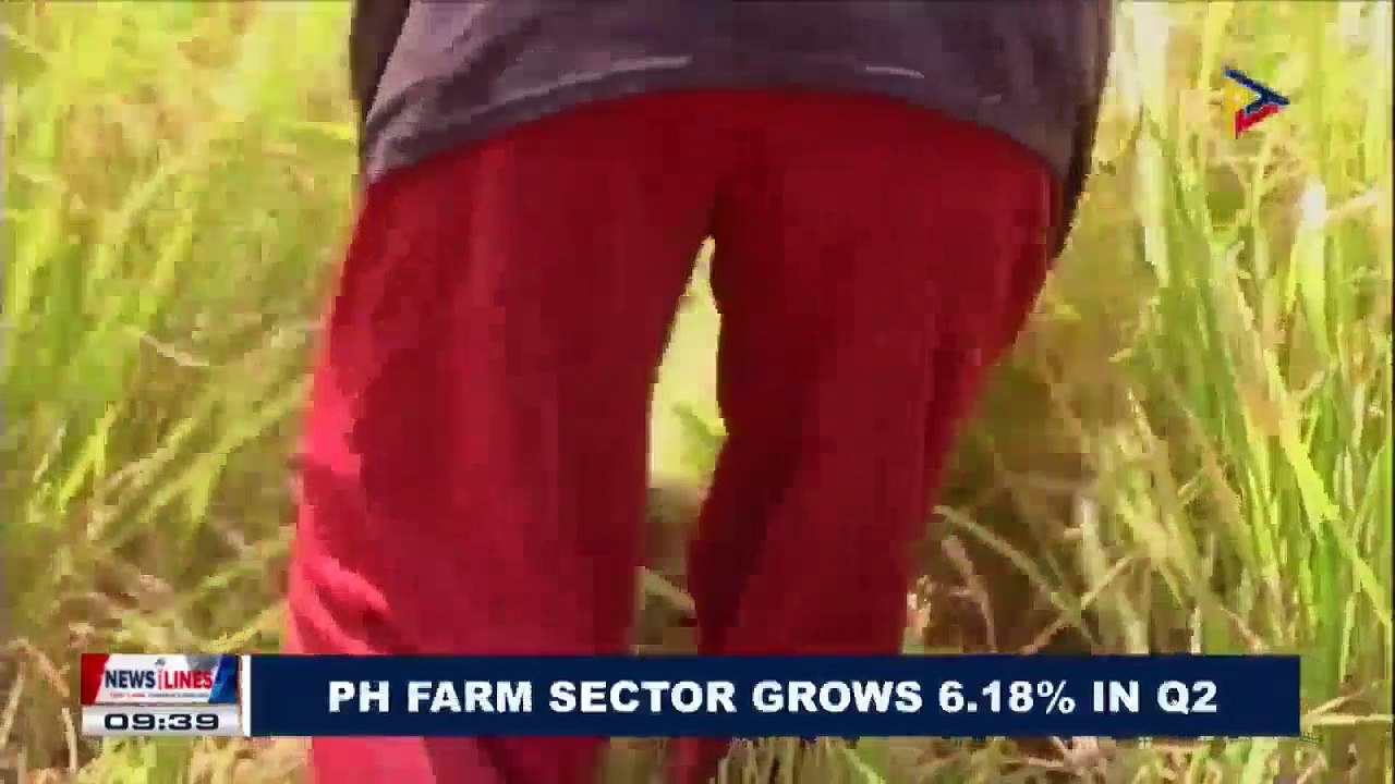 PH farm sector grows 6.18% in Q2