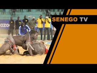 Modou Anta bat Zarko