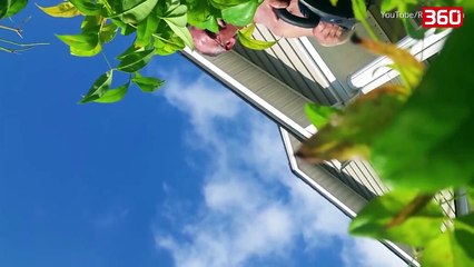 I ra celulari nga dritarja e avionit, shikoni cfare filmoi gjate renies (360video)