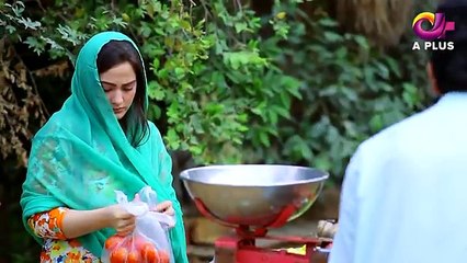 Kambakht Tanno - Episode 174 - 15th August 2017