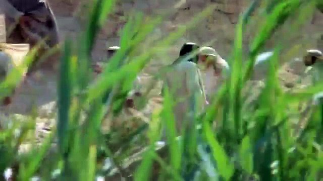 John the Baptist meets Jesus Clip from Jesus of Nazareth 1977