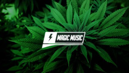 DJ Shark - Fyah (feat. Naza Brothers & Mr Shammi)