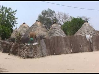 Compagne Ramadan - Hivernage 2017: Human Appeal International, bureau Sénégal