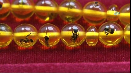 Tam 40 Bin Yıllık! Fiyatı Dudak Uçuklattı