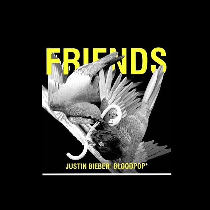 Justin Bieber ft Bloodpop - Friends - video Dailymotion