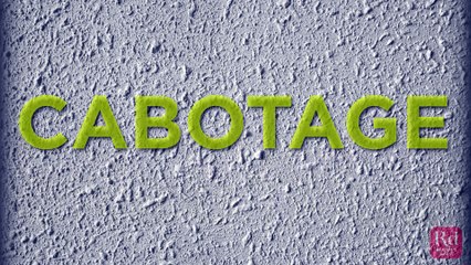 Weird Words and Their Meanings