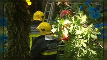 شاهد: 11قتيلا إثر سقوط شجرة في البرتغال