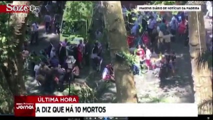 Festival alanında ağaç devrildi 11 ölü