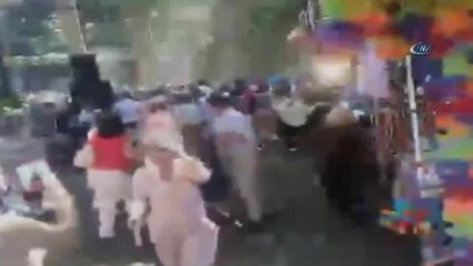 Portekiz'de Ağaç Devrildi: 11 Ölü