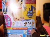 LITTLE LIVE PETS SWEET TALKING PUPPY RECORD & REPEAT UNBOXING  BRAND NEW Toys BABY Videos