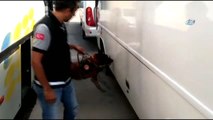 Zuladaki Kaçak Sigaralar Narkotik Köpeğinden Kaçamadı