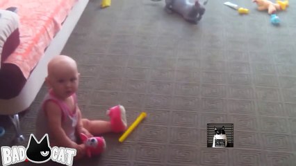 Adorable Cats Compilation - Best Funny Cat Videos Ever (3)