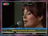 Neşe DURSUN SARAÇ - Bu Hâl Zuhur Etmesin Bir Daha