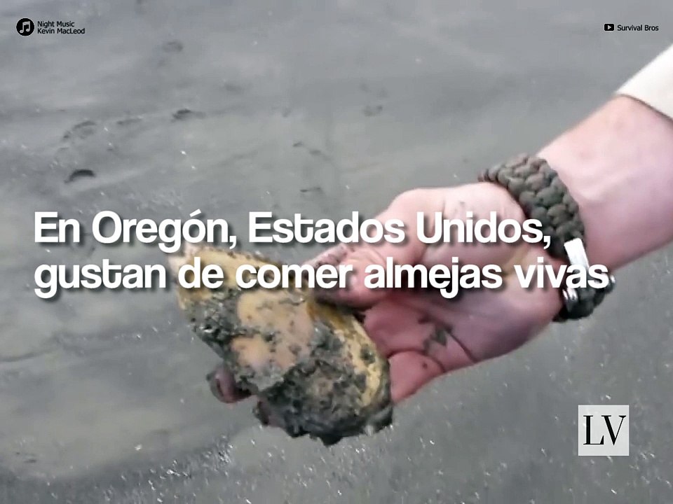 Plato de almejas demasiado frescas