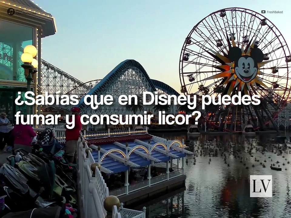 Sabías que en Disney puedes fumar y consumir licor