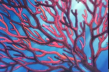 Twilight Q 1987 Ova 01 Sub Español