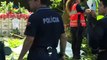 Falling tree kills 12 and injures 52 at Madeira festival