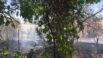 Tunceli'deki Orman Yangınları Tamamen Kontrol Altına Alındı