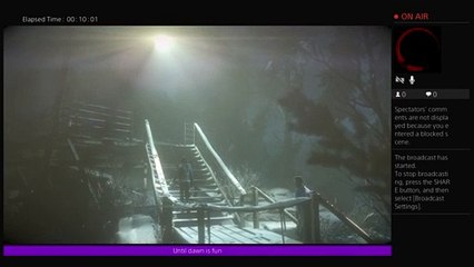 Suicidesquide's playing until dawn (7)