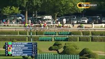 Horse Excellence: Whitney Stakes Saratoga