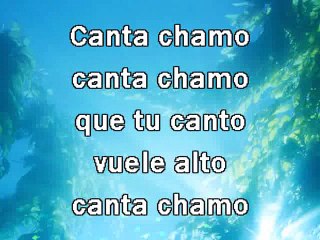 Descargar video: LOS CHAMOS - CANTA CHAMO (KARAOKE)