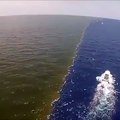 Most latest viral video about sea Fact Two water in ocean Salt and sweet never mix As Qur'an said ( 360 X 360 )