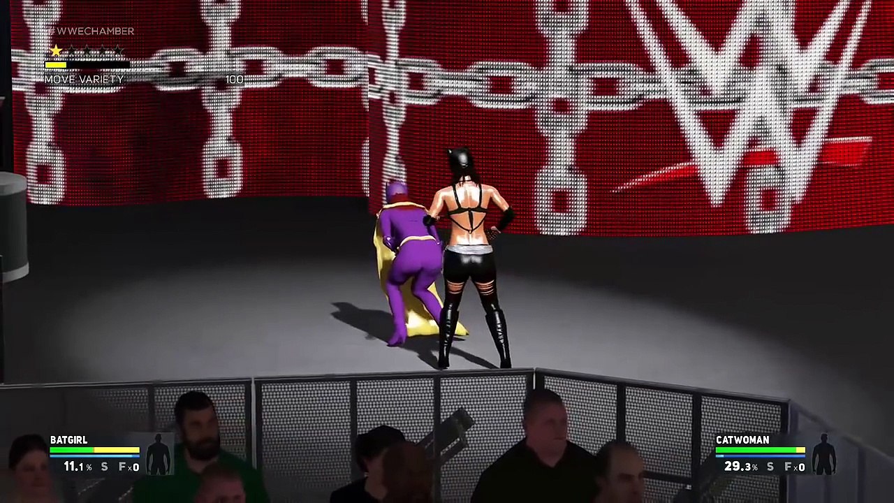 WWE Batgirl vs Catwoman Low Blow Match