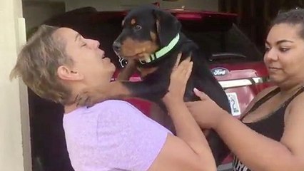 Loving Kids Surprise Mom With New Puppy
