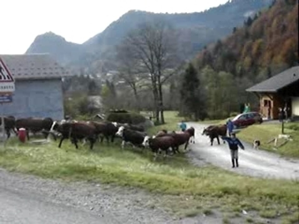 Concours St Jean d'Aulps 2007