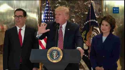 Trump culpa de la violencia en Virginia a ambos bandos