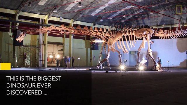 This Is the Biggest Dinosaur Ever Found | National Geographic