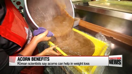 Including acorns into diet can help people lose weight