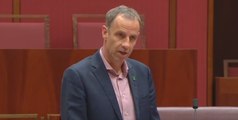 Senator Says Australia 'Sleepwalking' to the Far-Right Following Charlottesville Attack
