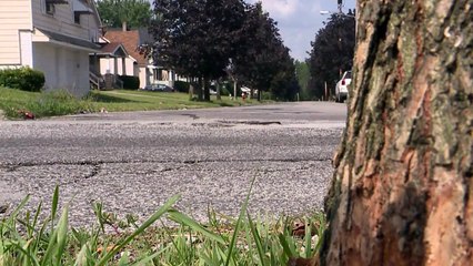 Family Pleads For Answers After Egyptian Immigrant Killed While Selling Car