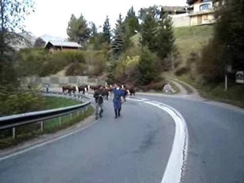 Concours St Jean d'Aulps 2007